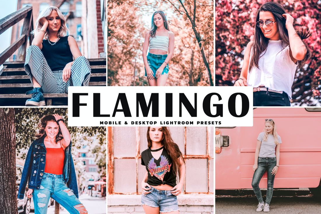 Flamingo Mobile & Desktop Lightroom Presets