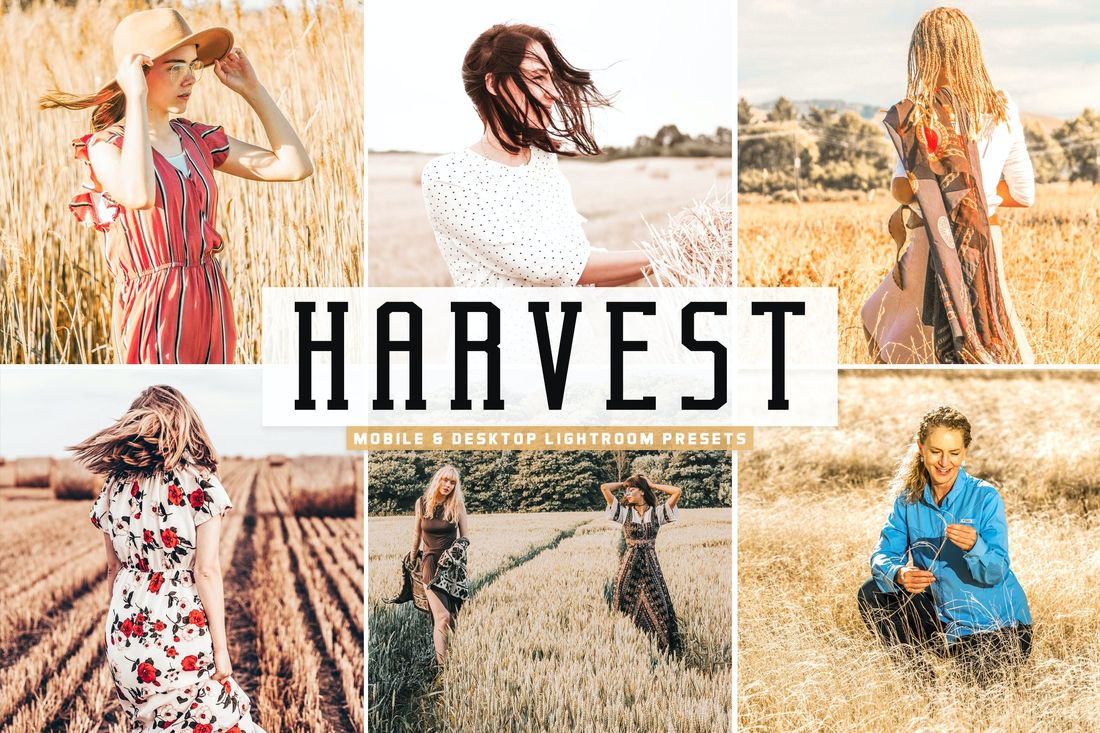 Harvest Mobile & Desktop Lightroom Presets