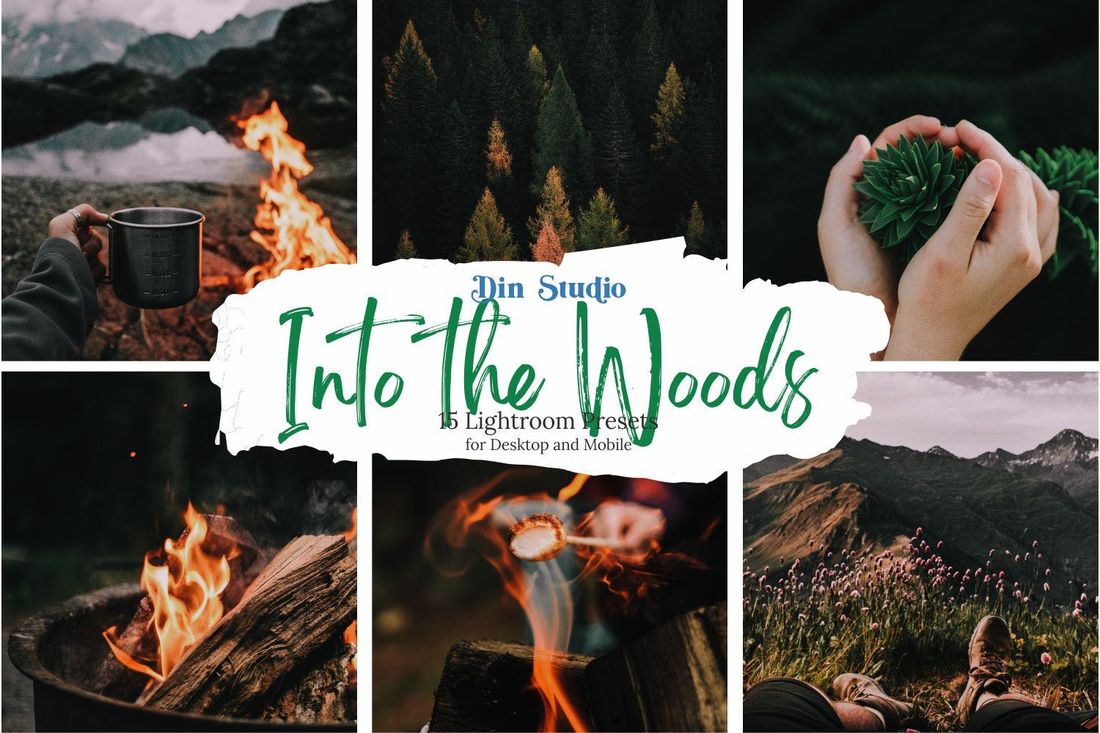 Into the Woods Lightroom Presets