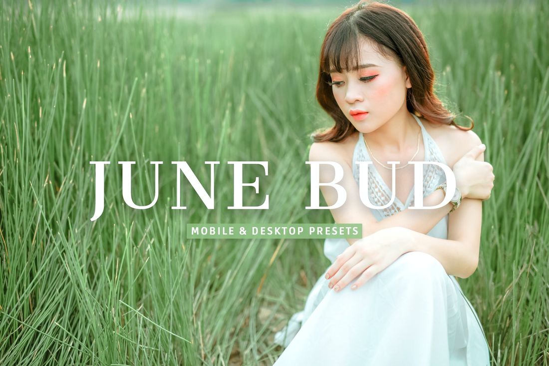 June Bud Mobile & Desktop Lightroom Presets
