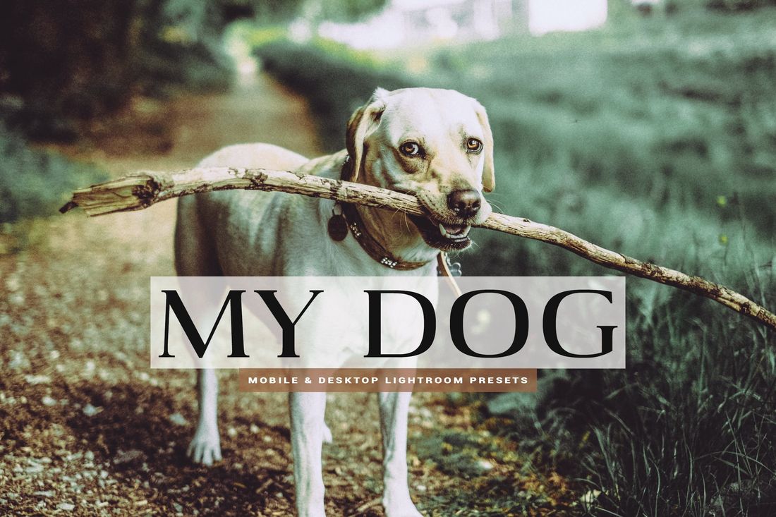 My Dog Mobile and Desktop Lightroom Presets
