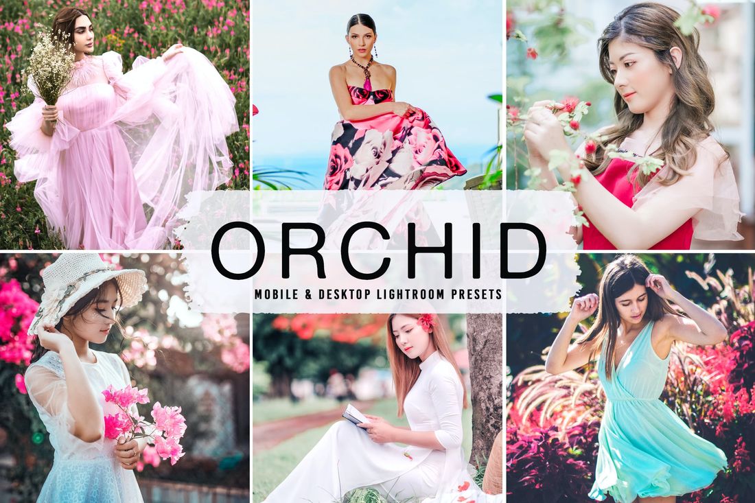 Orchid Mobile & Desktop Lightroom Presets