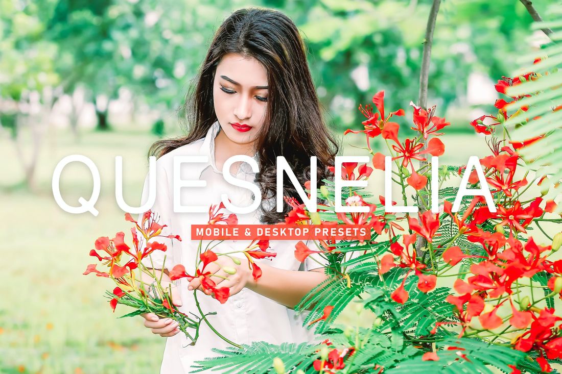Quesnelia Mobile & Desktop Lightroom Presets