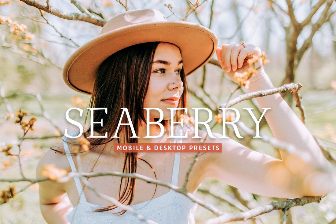 Seaberry Mobile & Desktop Lightroom Presets