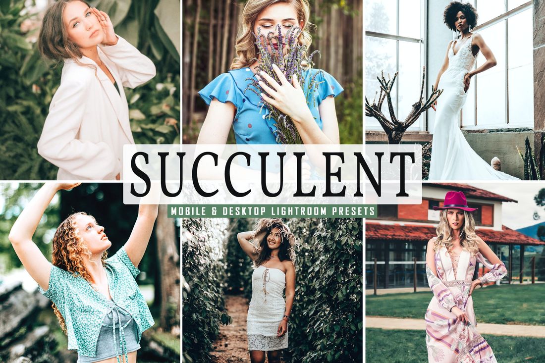 Succulent Mobile & Desktop Lightroom Presets