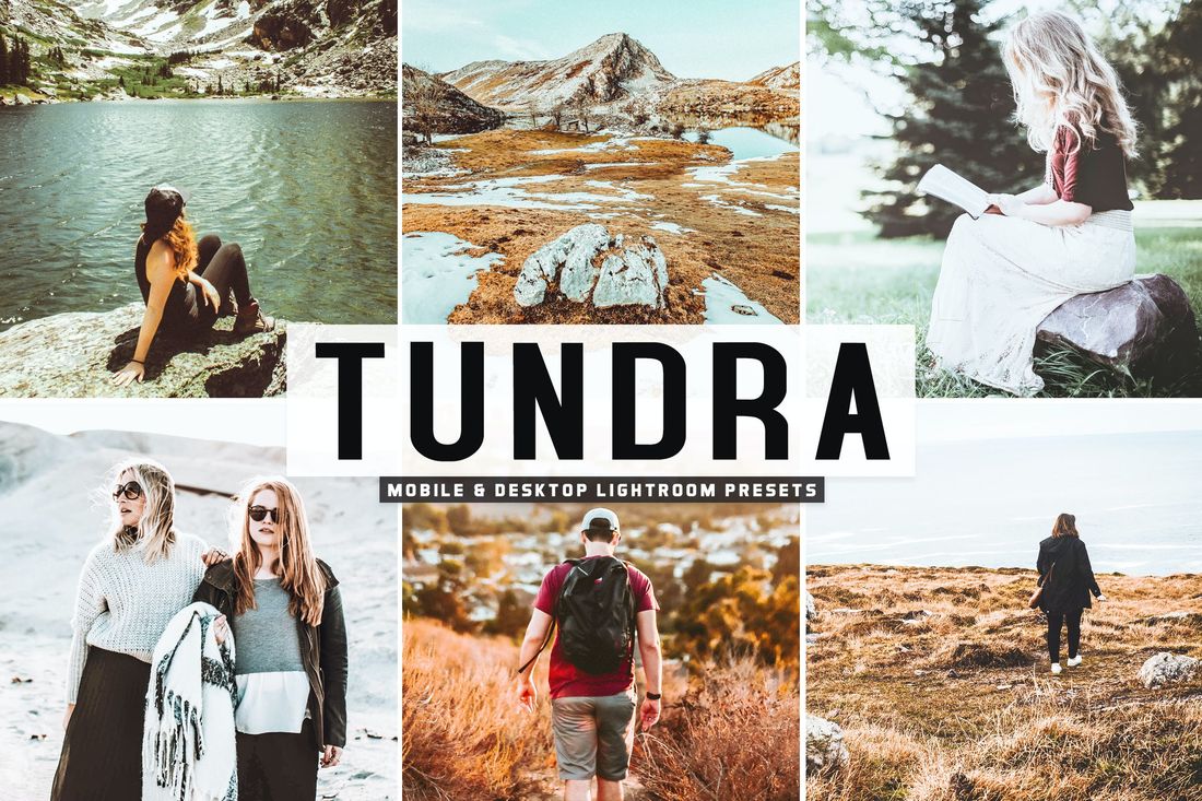 Tundra Mobile & Desktop Lightroom Presets