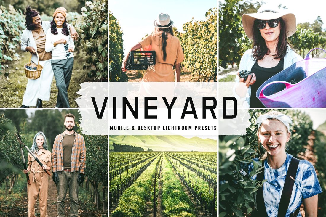 Vineyard Mobile & Desktop Lightroom Presets