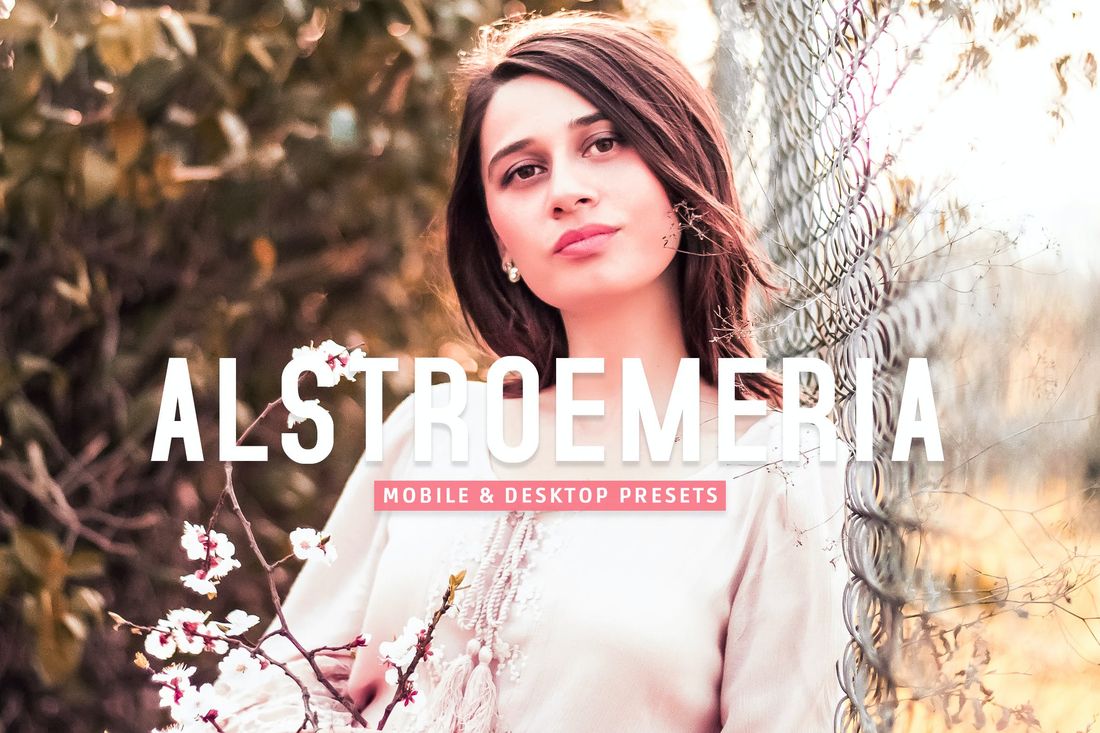 Alstroemeria Mobile & Desktop Lightroom Presets