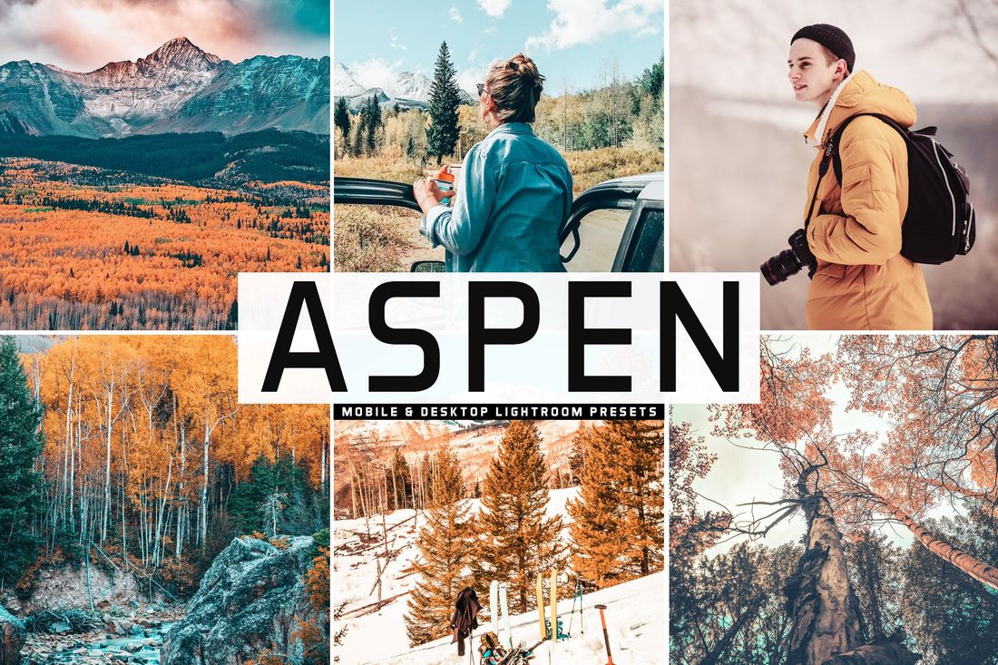 Aspen Mobile & Desktop Lightroom Presets