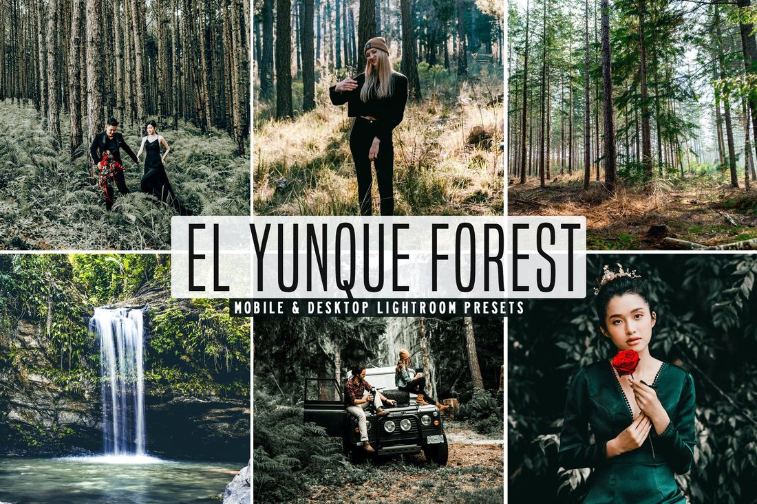 El Yunque Forest Mobile & Desktop Lightroom Preset