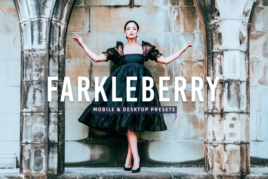 Farkleberry Mobile & Desktop Lightroom Presets
