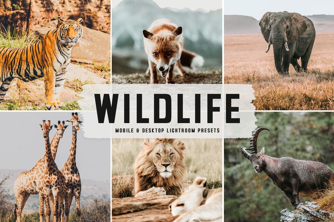 Wildlife Mobile & Desktop Lightroom Presets